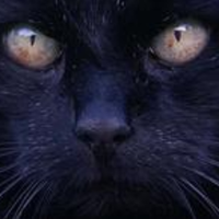 BrigitteGoldie (@goldie_brigitte) 's Twitter Profile Photo