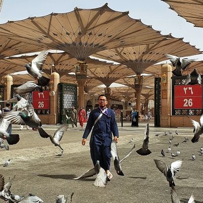 irfannursandie's profile picture. Just a boy caught up in dream and fantasy