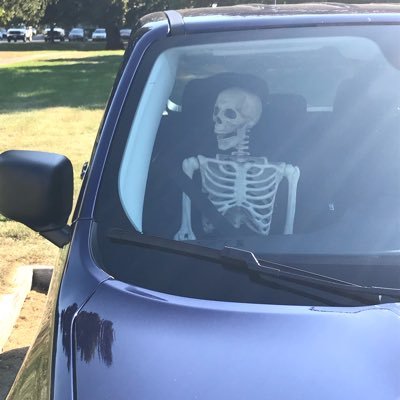 she/her • 34 • just a skeleton in a jeep