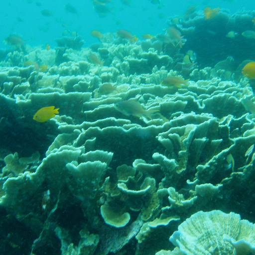 araara_san's profile picture. 紹介できる自己のキャラクターにゆらぎが発生しています。俺って何がしたいんだっけ。。。