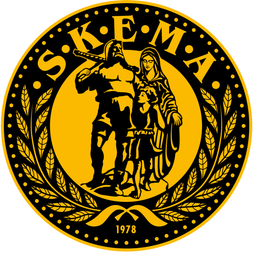 SKEMAkampfkunst Profile Picture