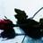 midnightbloom04's profile image