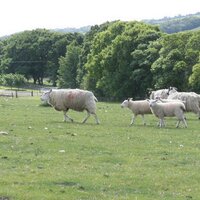 Sagakei (@k_saga130) 's Twitter Profile