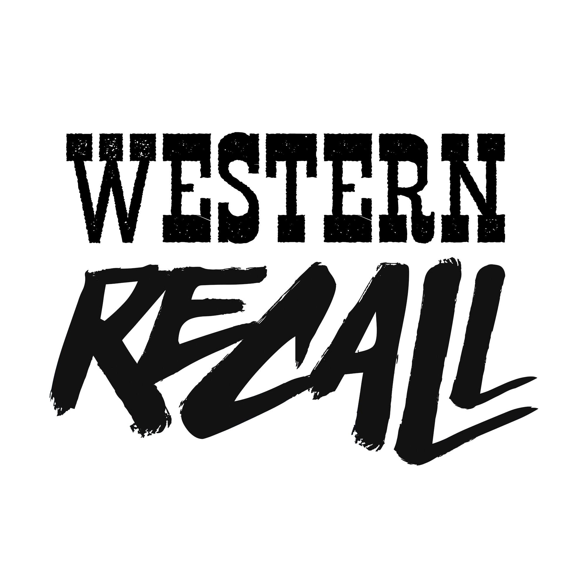 We are last year 3D art students of video games at FX Animation school and our final project is a Robo Recall MOD based on the far west