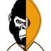 Engabo Tours and Safaris (@engabosafaris) Twitter profile photo Engabo Tours and Safaris (@engabosafaris) Twitter profile photo