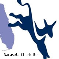 Twitter feed for Sarasota-Charlotte Democratic Progressive Caucus, a chapter of @DPCF and part of the @FlaDems. Turning FL dark blue!