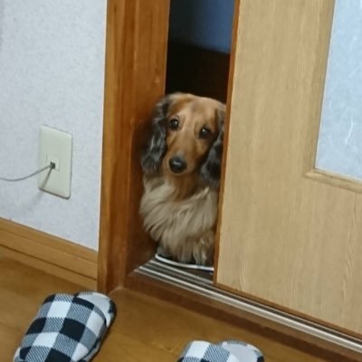 npnl_17's profile picture. 