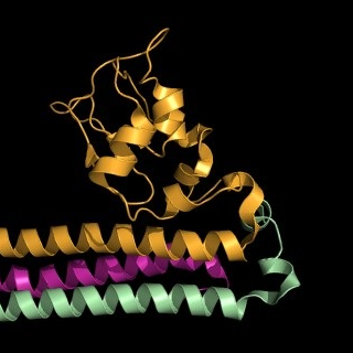 Chromosome Segregation @ Wellcome Centre for Cell Biology @WTcell, Univ of Edinburgh, UK @GeneCenter_LMU, Munich, Germany