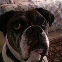 Larry biggar - @lbiggar - Twitter