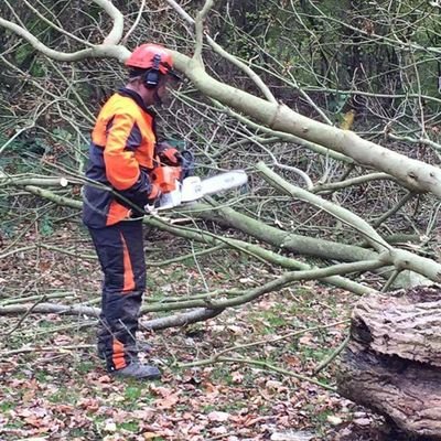 Grounds Arborist at The Yorkshire Arboretum, woodturner, Bsc Hons Evironmental Conservation. 
Member of the International Dendrology Society
My views are my own
