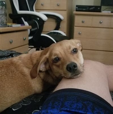 AesudFN's profile picture. Fortnite player for @HydrocoEsports