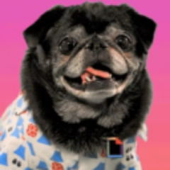 bnelFree's profile picture. 😍