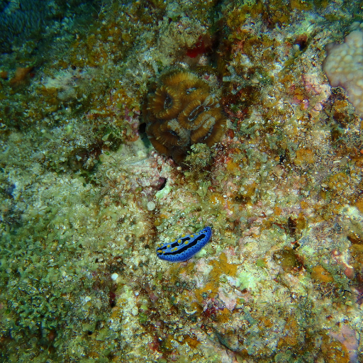 patriaheideric4's profile picture. Melhores e mais bonitas frases da web.