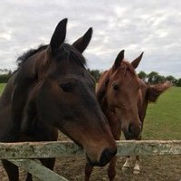 bryanburrough1 (@bryanburrough1) 's Twitter Profile