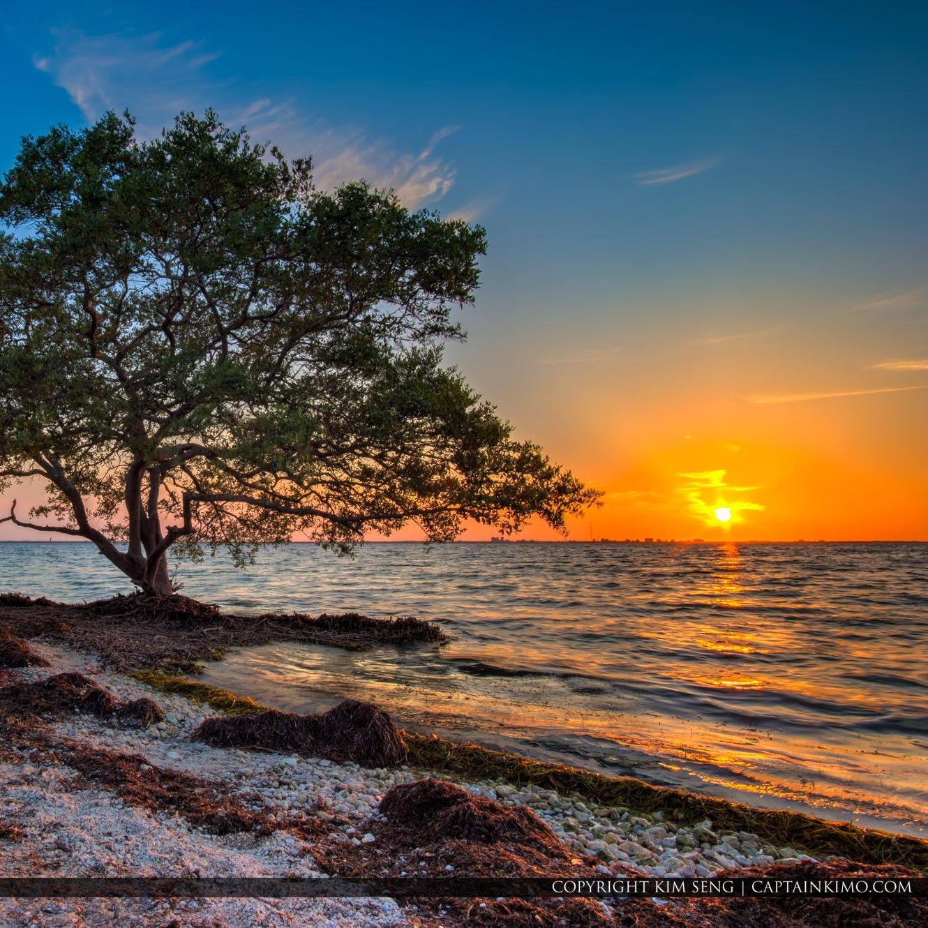 floridaTrading's profile picture. I’m just here so I don’t get fined...