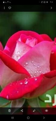 BtBtBIPxEAzWPWh's profile picture. 