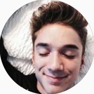 se.avey.daniel - @Whydontwejusts2 Twitter Profile Photo