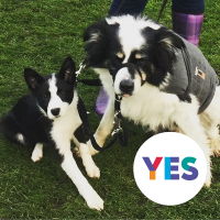 Colin and Jacqui (@jacolxv) 's Twitter Profile