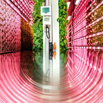 Director - Modular Farms Australia - AgTech Entrepreneur. Vertical farming enthusiasts!