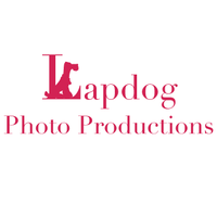 Lapdog Tweets (@lapdogtweets) 's Twitter Profile