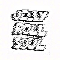 Jelly Roll Soul(@Jellyrollsoul1) 's Twitter Profileg