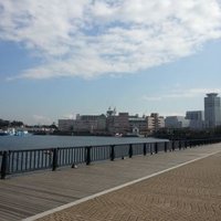 ミッチー (@wdt6naiczaxbcx7) Twitter profile photo