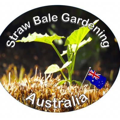 Christi84801113's profile picture. Tragic straw bale gardener in NSW Australia #strawbalegarden #womenwhostrawbalegarden #strawbalegardeningaustralia #sustainablegardening #raisedbedgarden