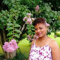 Kimberly Nichols - @kmc_nbs Twitter Profile Photo