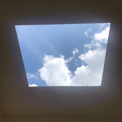 forgotm13364311's profile picture. Architecture and Skating