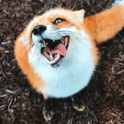 laputa543's profile picture. .