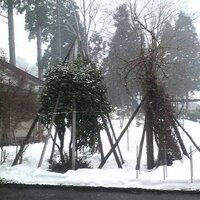 ヰ/高村蓮生 (@01000178) 's Twitter Profile Photo ヰ/高村蓮生 (@01000178) 's Twitter Profile Photo