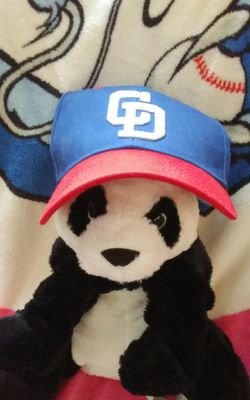 dradraxiang's profile picture. シャンシャンをきっかけに、パンダにはまる。生まれ
た時から中日ドラゴンズファンで、時々、東京ドーム、神宮のレフトスタンドに出現するアラ還