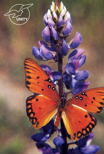 Unity Boston offers practical, spiritual teachings that empower abundant and meaningful living.