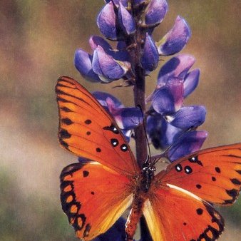 Unity Boston (@unityboston) | Twitter