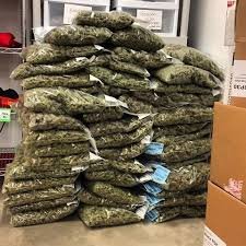Mmjwholesale's profile picture. 5O8x25OxO293 Marijuana Wholesale Marketplace Cannabis Marketplaces.