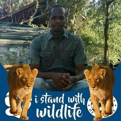 A proffetional safari guide in East Africa