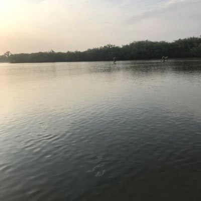 africa_iA's profile picture. Machine Learning Engineer // Kaggle / entrepreneur