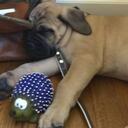 Jason Torrez - @jasontorrez - Twitter