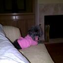 Elizabeth Kline - @BethKline - Twitter