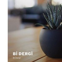 Bi Dergi (@bidergi_net) 's Twitter Profile