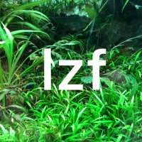 lzf (@lzf34) 's Twitter Profile