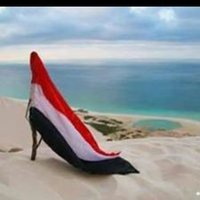 الليث العواضي (@alethalawady) 's Twitter Profile