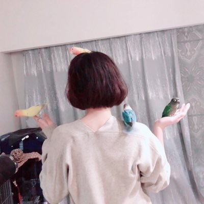 きちぴー@鬼畜んぴっぴのプロフィール写真