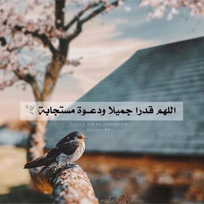 www202062217635's profile picture. 