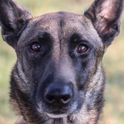 TotallyBerserk1's profile picture. Tweeting with no substance. Don't follow me.