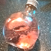 Haz (@haz1008) 's Twitter Profile Photo Haz (@haz1008) 's Twitter Profile Photo