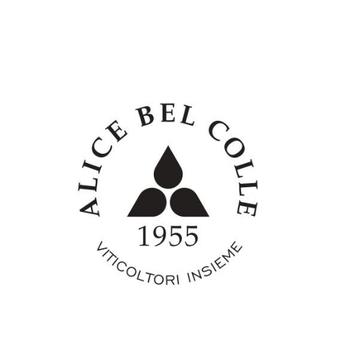 Tra le colline dell’Alto Monferrato in uno straordinario paesaggio di vigneti tra le province di Alessandria ed Asti sorge il paese di Alice Bel Colle.