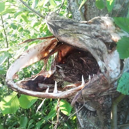 GeorchW's profile picture. To share more amazing of photography, Arts, Breaking places, Beautiful animals, to all person in the world.