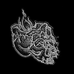 A single-artist deathcore metal project based in the Pittsburgh, PA area.