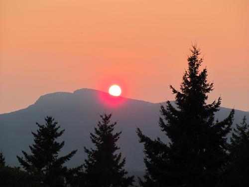 1landscaperguy's profile picture. Worked in Engineering, Landscaping/Gardening and Computer Preventative Solutions. Disabled in my upper body. Like writing about landscaping,gardening computers.